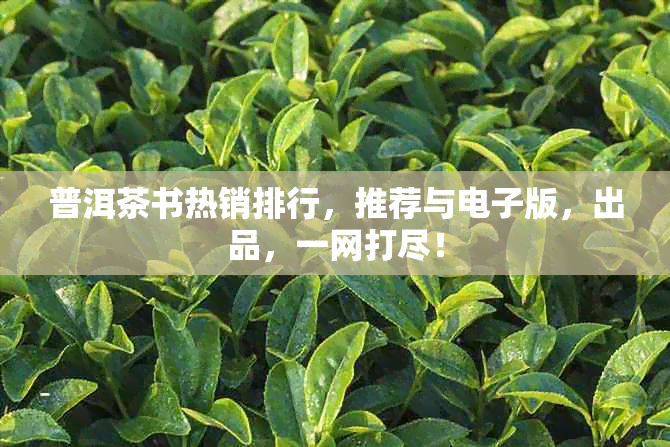 普洱茶书热销排行，推荐与版，出品，一网打尽！