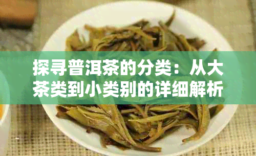 探寻普洱茶的分类：从大茶类到小类别的详细解析