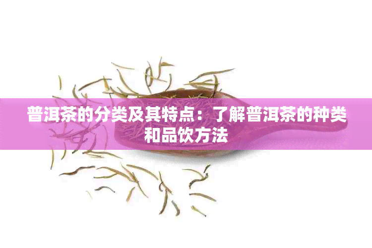 普洱茶的分类及其特点：了解普洱茶的种类和品饮方法