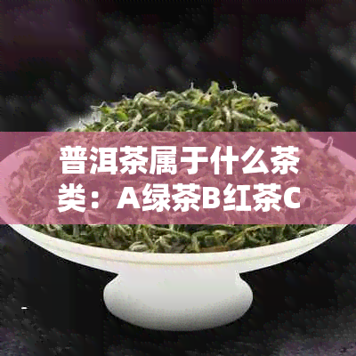 普洱茶属于什么茶类：A绿茶B红茶C黑茶D黄茶