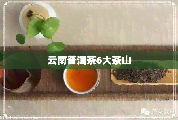 云南普洱茶6大茶山