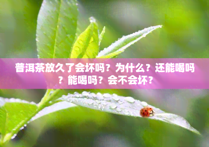 普洱茶放久了会坏吗？为什么？还能喝吗？能喝吗？会不会坏？