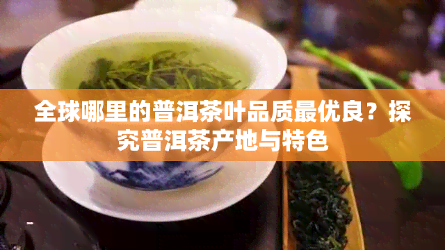 全球哪里的普洱茶叶品质更优良？探究普洱茶产地与特色