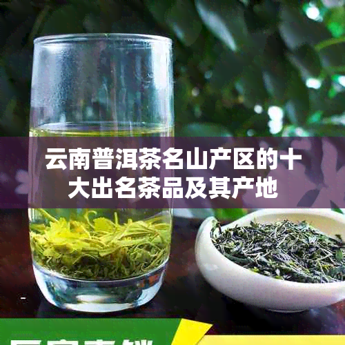 云南普洱茶名山产区的十大出名茶品及其产地