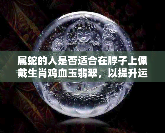 属蛇的人是否适合在脖子上佩戴生肖鸡血玉翡翠，以提升运势？