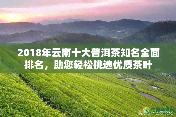 2018年云南十大普洱茶知名全面排名，助您轻松挑选优质茶叶