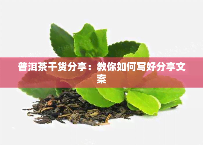 普洱茶干货分享：教你如何写好分享文案