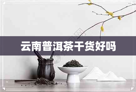 云南普洱茶干货好吗