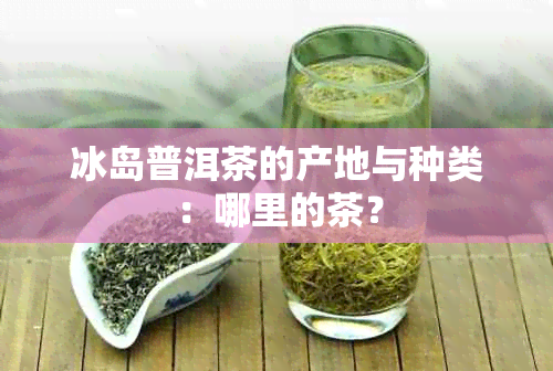 冰岛普洱茶的产地与种类：哪里的茶？