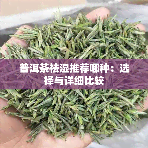 普洱茶祛湿推荐哪种：选择与详细比较