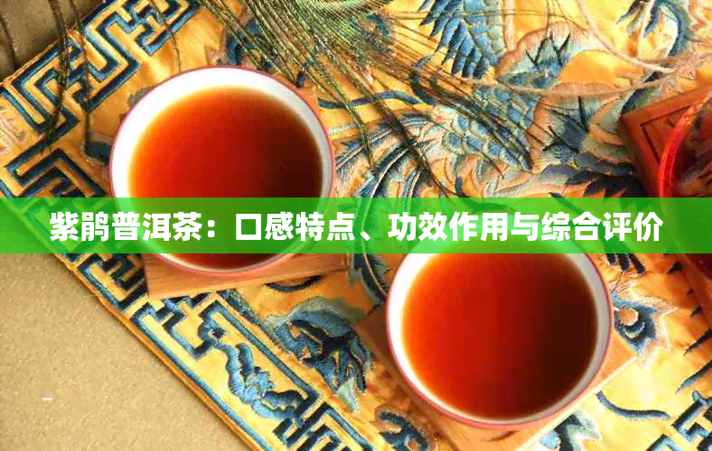 紫鹃普洱茶：口感特点、功效作用与综合评价