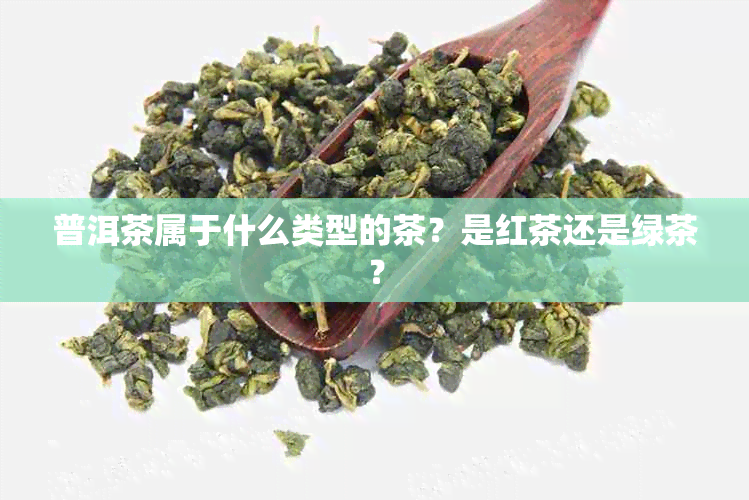 普洱茶属于什么类型的茶？是红茶还是绿茶？