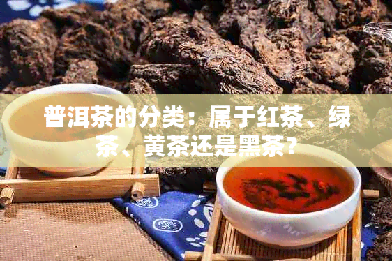 普洱茶的分类：属于红茶、绿茶、黄茶还是黑茶？