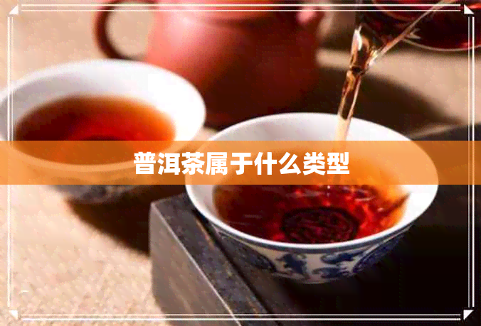 普洱茶属于什么类型