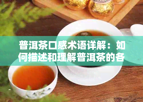 普洱茶口感术语详解：如何描述和理解普洱茶的各种味道特征