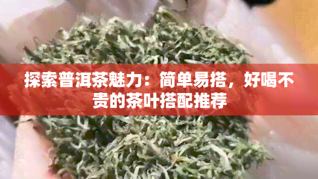 探索普洱茶魅力：简单易搭，好喝不贵的茶叶搭配推荐