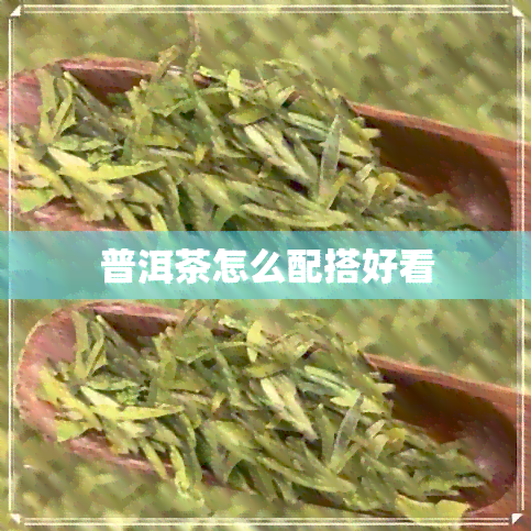 普洱茶怎么配搭好看