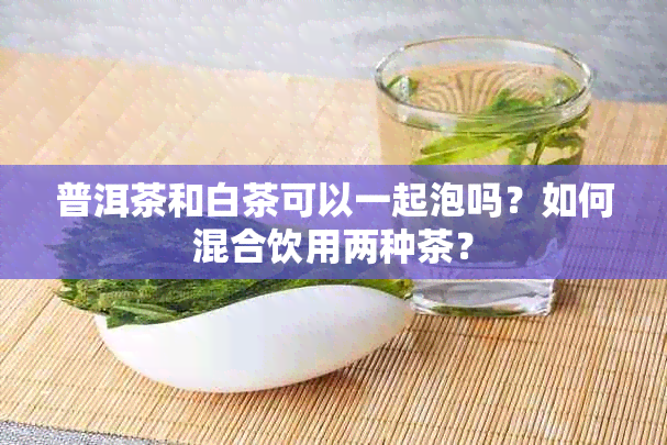 普洱茶和白茶可以一起泡吗？如何混合饮用两种茶？