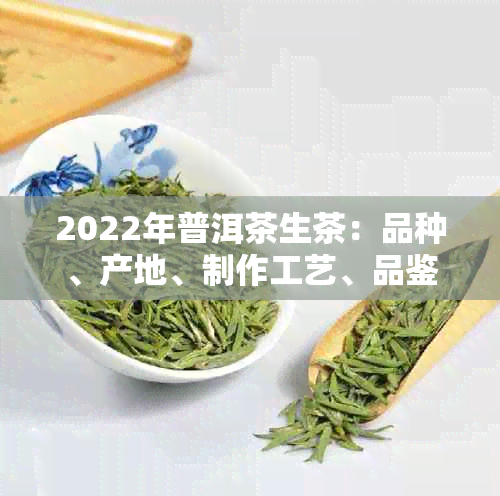 2022年普洱茶生茶：品种、产地、制作工艺、品鉴方法及购买指南全方位解析