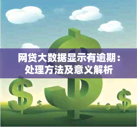 网贷大数据显示有逾期：处理方法及意义解析