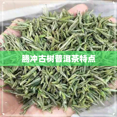 腾冲古树普洱茶特点