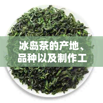 冰岛茶的产地、品种以及制作工艺：全面了解这款世界闻名的绿茶