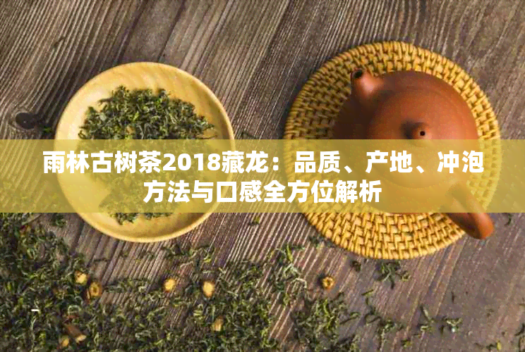 雨林古树茶2018藏龙：品质、产地、冲泡方法与口感全方位解析