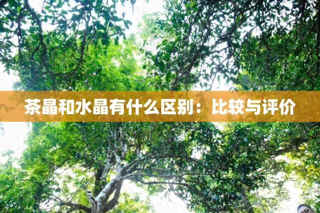 茶晶和水晶有什么区别：比较与评价