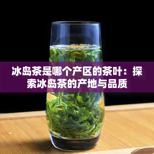 冰岛茶是哪个产区的茶叶：探索冰岛茶的产地与品质