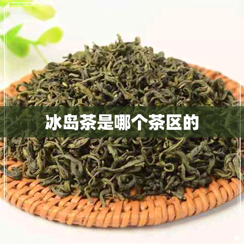 冰岛茶是哪个茶区的