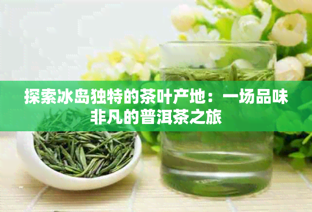 探索冰岛独特的茶叶产地：一场品味非凡的普洱茶之旅