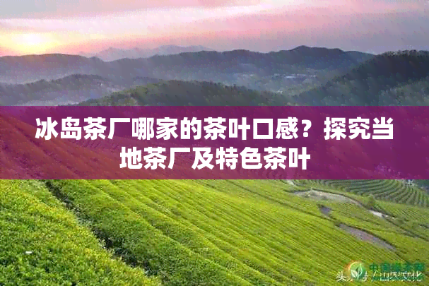 冰岛茶厂哪家的茶叶口感？探究当地茶厂及特色茶叶