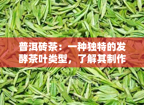 普洱砖茶：一种独特的发酵茶叶类型，了解其制作工艺、口感和功效