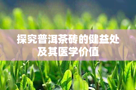 探究普洱茶砖的健益处及其医学价值