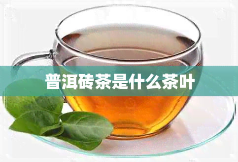 普洱砖茶是什么茶叶