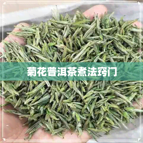 菊花普洱茶煮法窍门