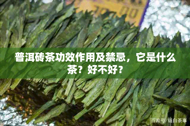 普洱砖茶功效作用及禁忌，它是什么茶？好不好？