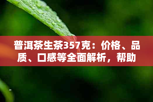 普洱茶生茶357克：价格、品质、口感等全面解析，帮助您轻松选购！