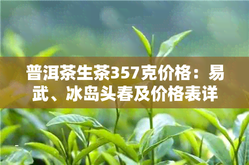 普洱茶生茶357克价格：易武、冰岛头春及价格表详解