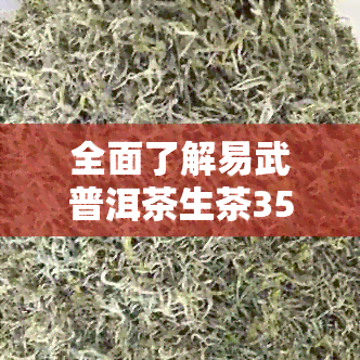 全面了解易武普洱茶生茶357克：价格、品质与泡法，助您选购理想茶叶