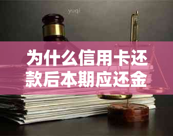 为什么信用卡还款后本期应还金额不变：原因与解决方法