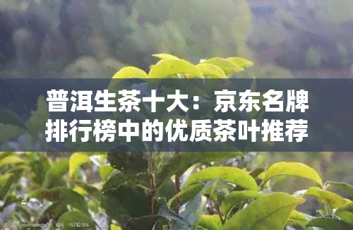 普洱生茶十大：京东名牌排行榜中的优质茶叶推荐