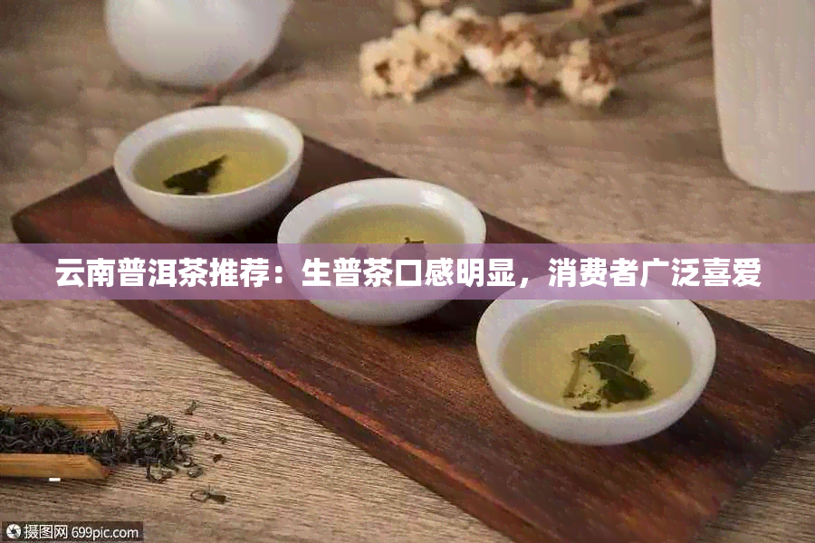 云南普洱茶推荐：生普茶口感明显，消费者广泛喜爱