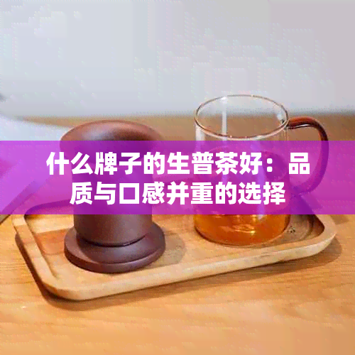 什么牌子的生普茶好：品质与口感并重的选择