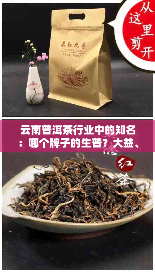 云南普洱茶行业中的知名：哪个牌子的生普？大益、中茶还是老班章？