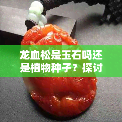 龙血松是玉石吗还是植物种子？探讨龙血松的真实身份