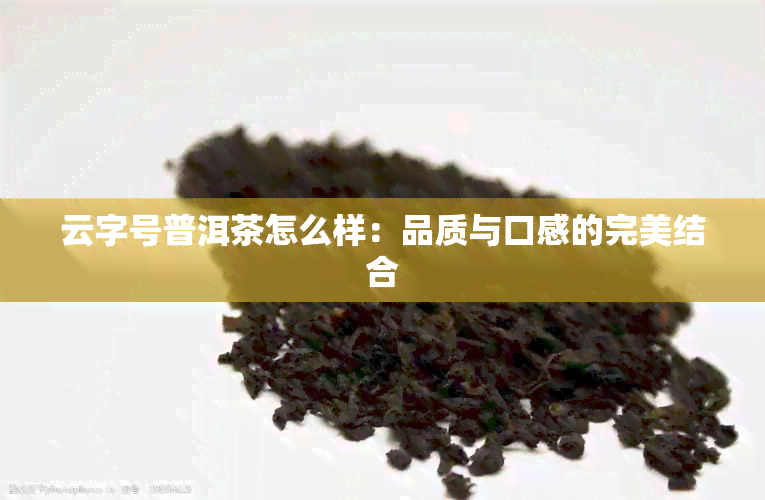 云字号普洱茶怎么样：品质与口感的完美结合