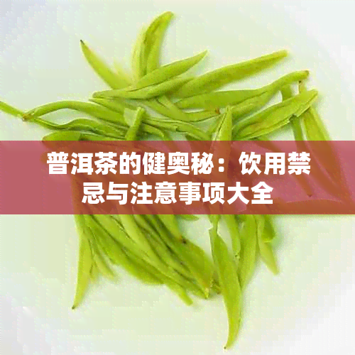 普洱茶的健奥秘：饮用禁忌与注意事项大全