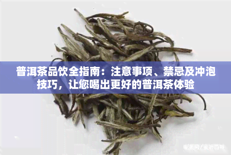 普洱茶品饮全指南：注意事项、禁忌及冲泡技巧，让您喝出更好的普洱茶体验