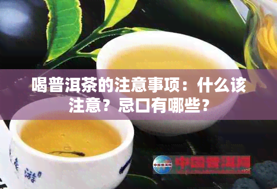 喝普洱茶的注意事项：什么该注意？忌口有哪些？